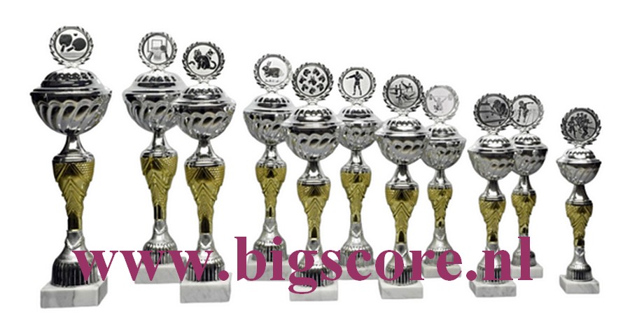 Z 604 Beker Goud- Zilver 11 Delig